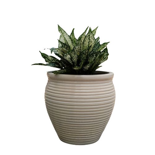 AIRPOT PLANTERS VIETNAM CO., LTD