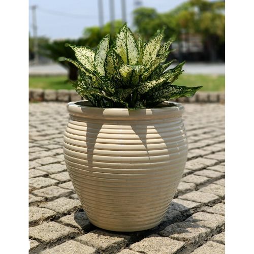AIRPOT PLANTERS VIETNAM CO., LTD