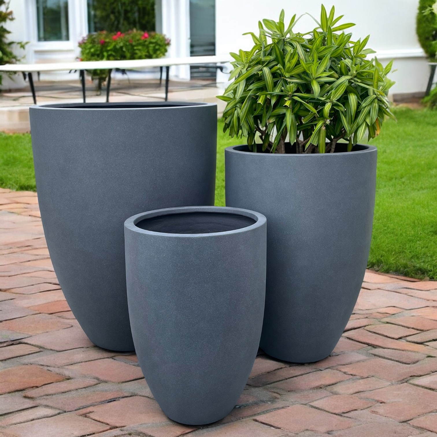 AIRPOT PLANTERS VIETNAM CO., LTD