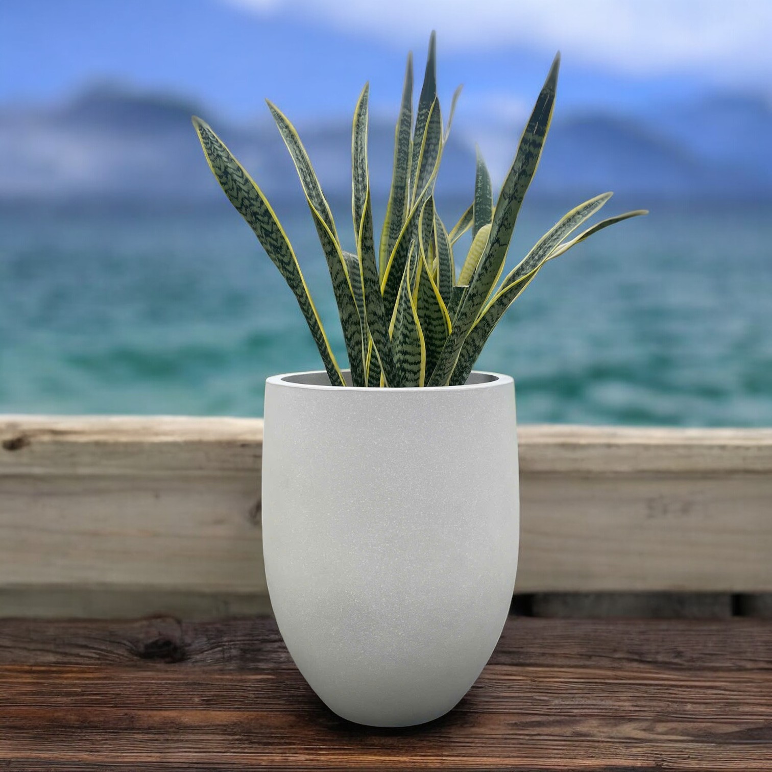 AIRPOT PLANTERS VIETNAM CO., LTD