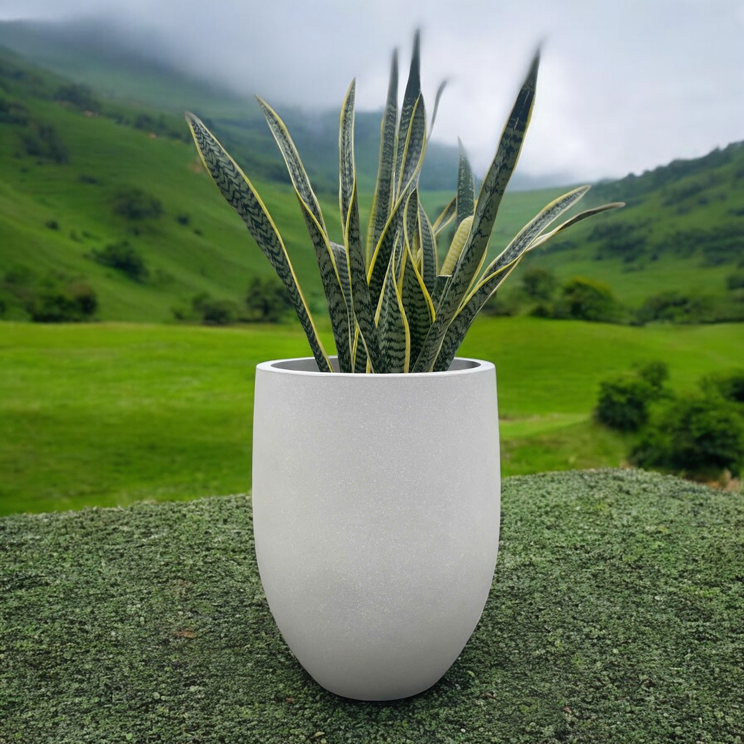 AIRPOT PLANTERS VIETNAM CO., LTD