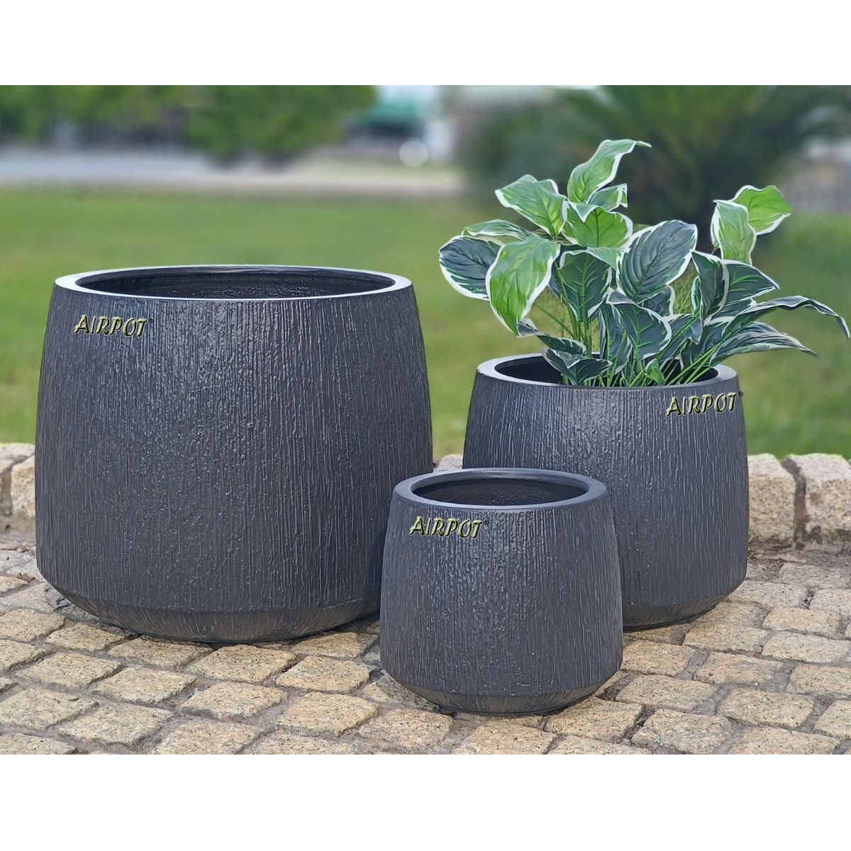 AIRPOT PLANTERS VIETNAM CO., LTD